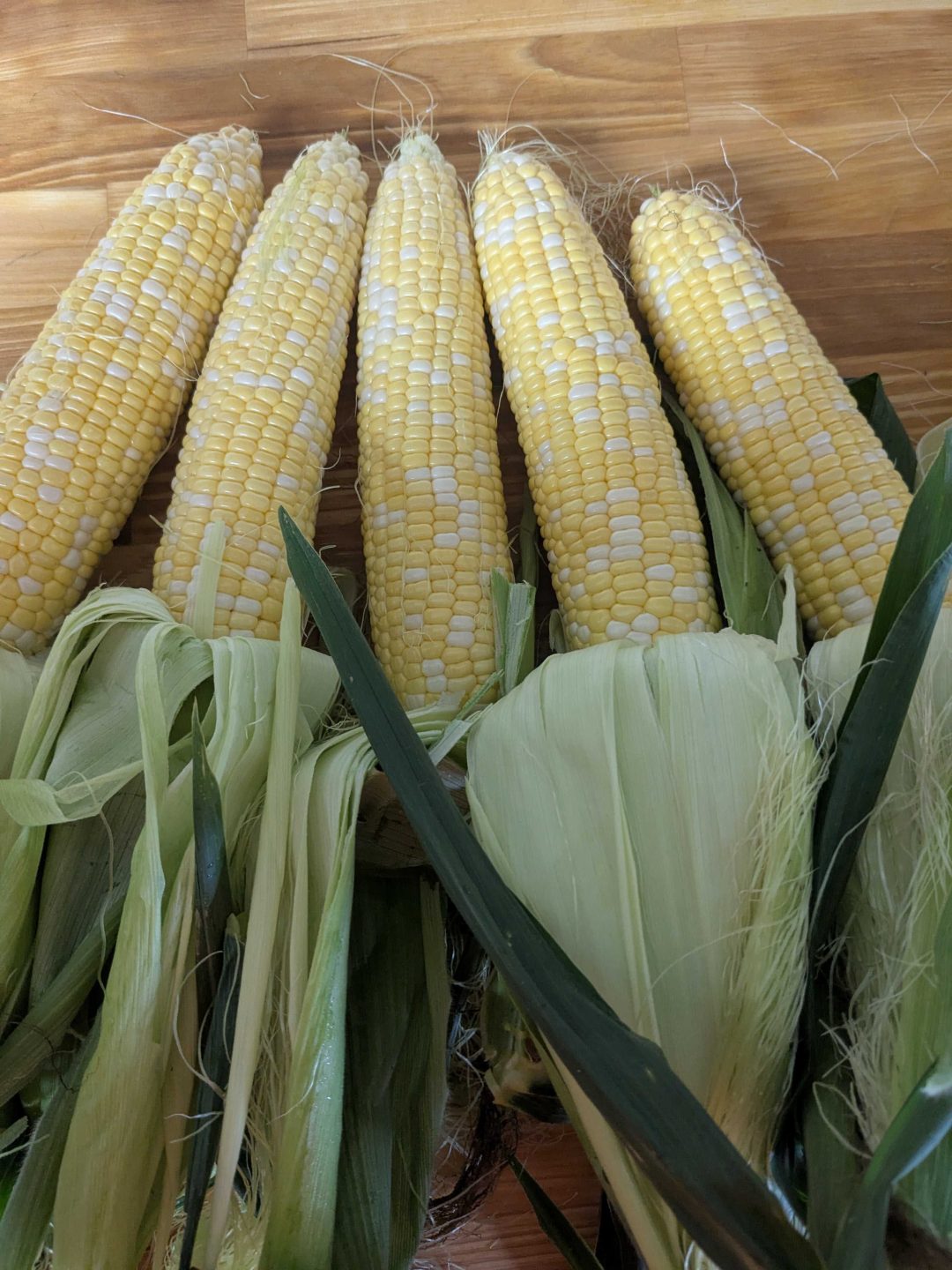 Growing Food